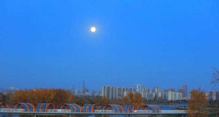 月之恋歌：一场唯美的穿越之旅