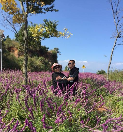 留住美好记忆（永远不忘的回忆）