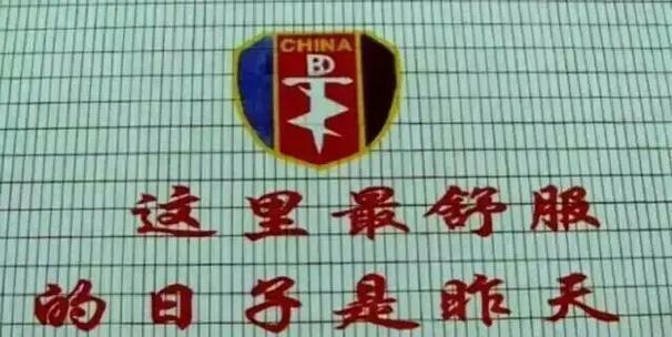 青春点滴（生命中的无悔选择）