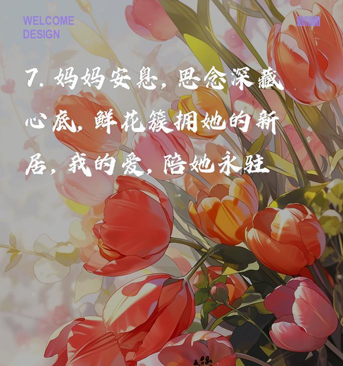 感恩永存我心：一次特殊的旅程