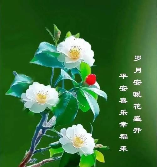 天空总会放晴（乐观面对生活的小故事）