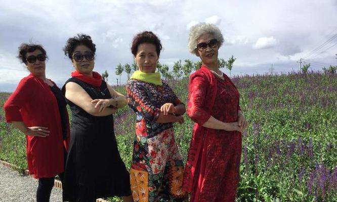 友谊之花在天空中绽放（一场美丽壮观的烟花秀）