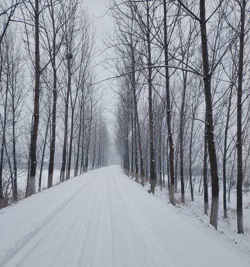 冬日的美丽风景（白雪皑皑的冬季，美景如画）