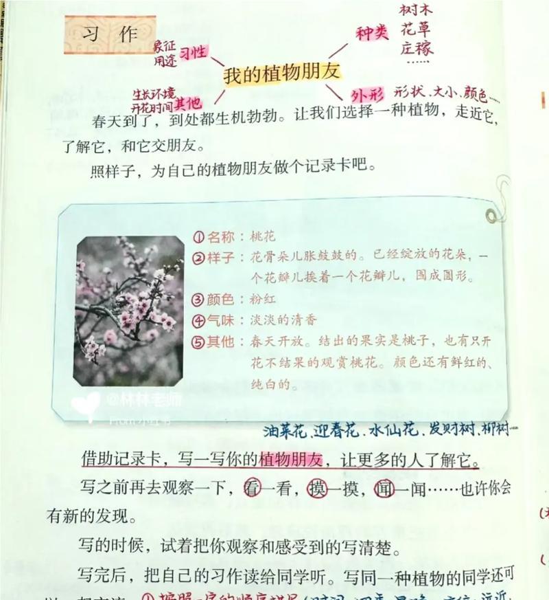 我和植物的故事：我的三年级植物朋友