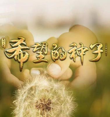 心里感慨万千——一个人的思想之旅（以一个叛逆少年的成长为镜，透视青春成长的点滴变化）