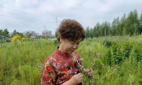 美好的收获——一个梦想实现的故事（荆棘密布，心有所向）