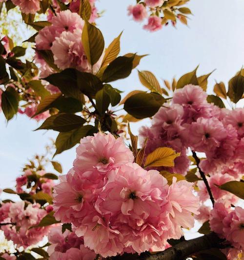 AMemorableMayDay（ExploringtheBeautyofNature）