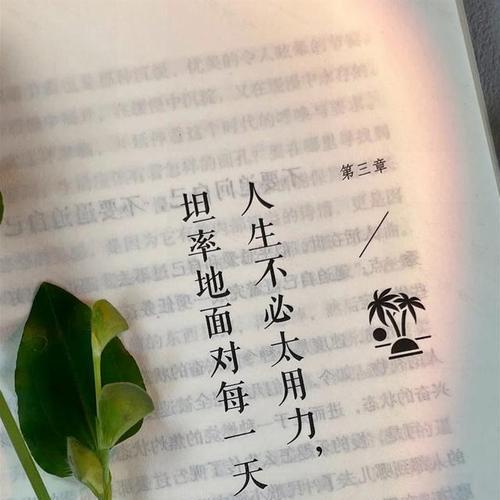 领略人生的真谛（一个困惑少年的成长历程）