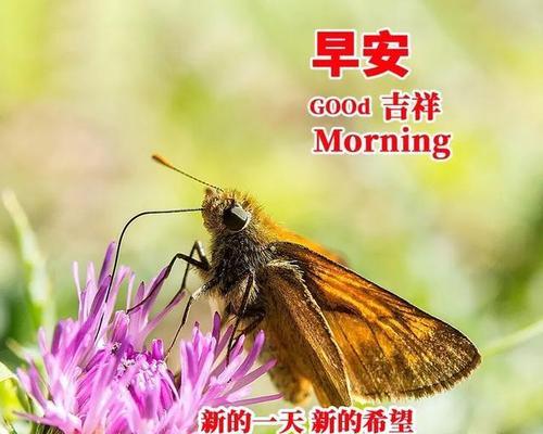 快乐的生活（跟随音乐的节奏，享受人生的美好）