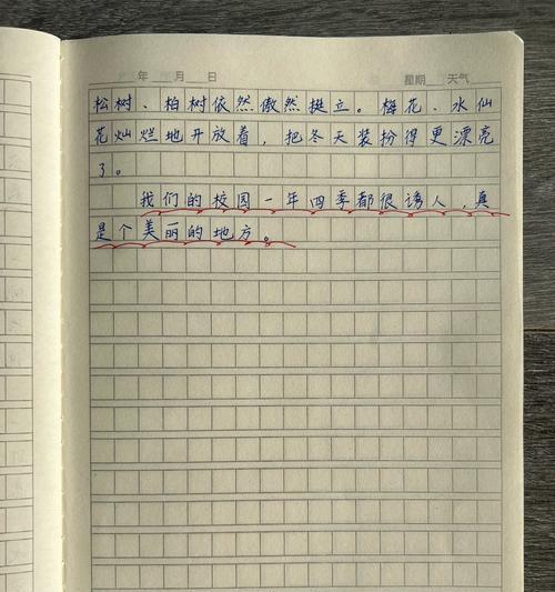 这儿真美：一个关于幸福的故事