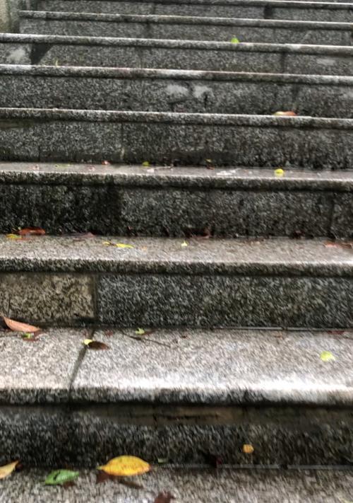 岁月知己（陪伴我走过时光长河的人）