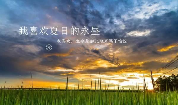 “寻找幸福的旅程”（“愉悦就在你身边”）