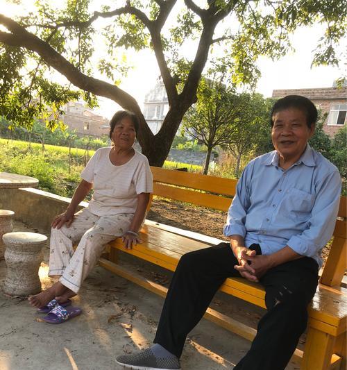 一个受伤的灵魂与朋友的陪伴（一个受伤的灵魂与朋友的陪伴）