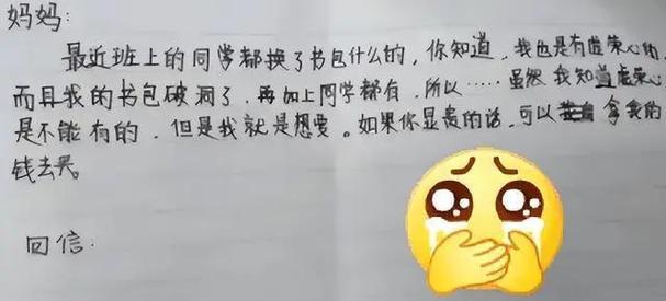母亲的愿望（一段充满爱与坚持的故事）