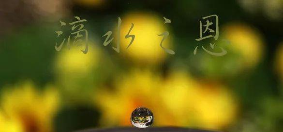 感恩恩情永在（一场别样的婚礼）