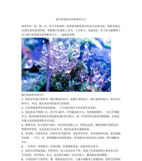 《四季之约》（春夏秋冬，我与自然的约定）