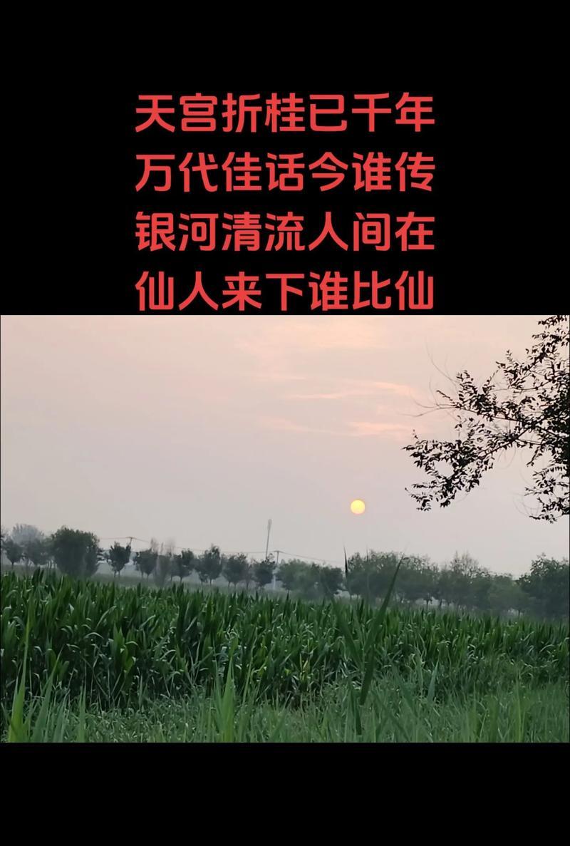 寻找生命中的风景（穿过热闹喧嚣，寻觅那份安静与美好）
