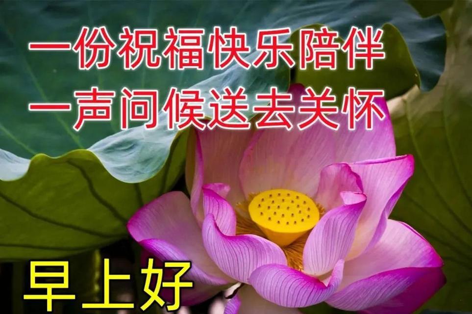 幸福花园（追逐欢乐的人生旅程）