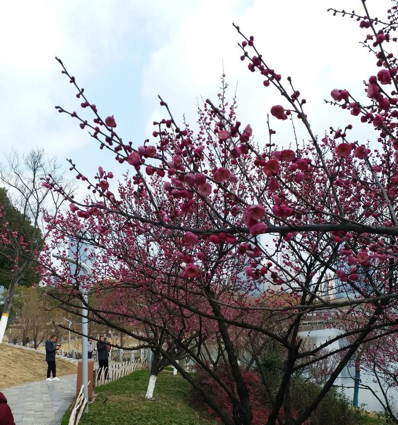 SpringtimeWarmth