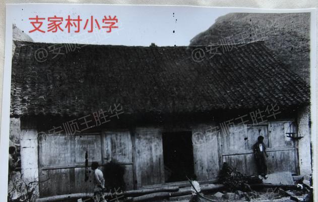 那年夏天（一张黑白照片，唤起的记忆）