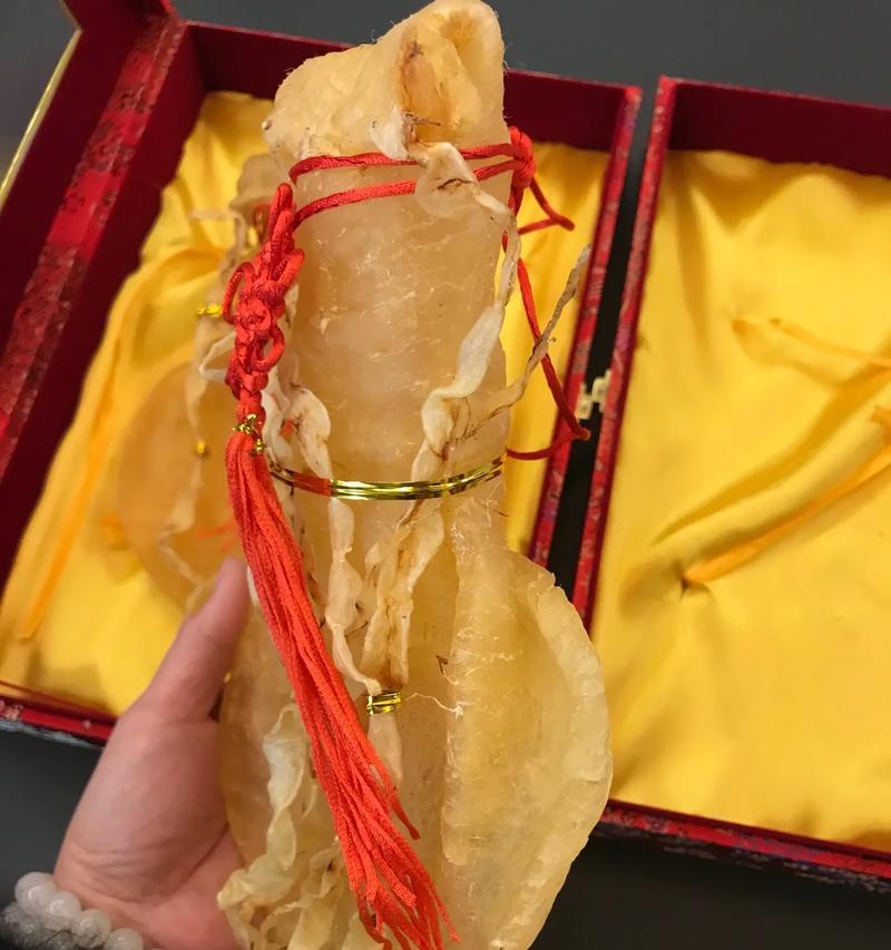 跨越坎坷的勇气（一颗年轻心的成长之路）