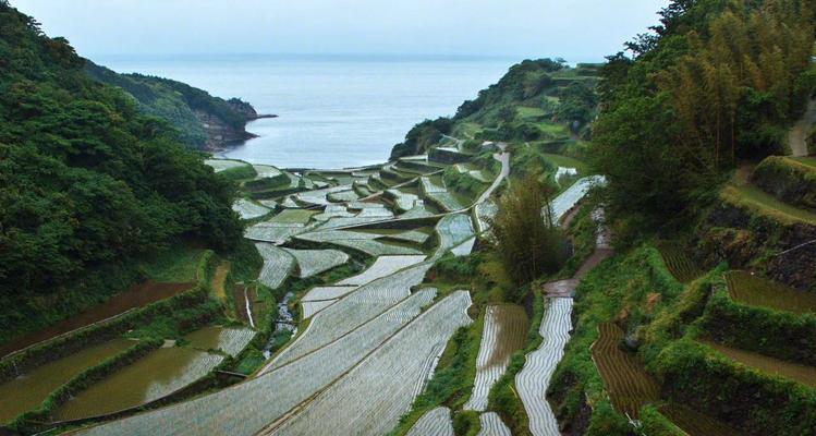 心中风景（一个关于成长和勇气的小故事）