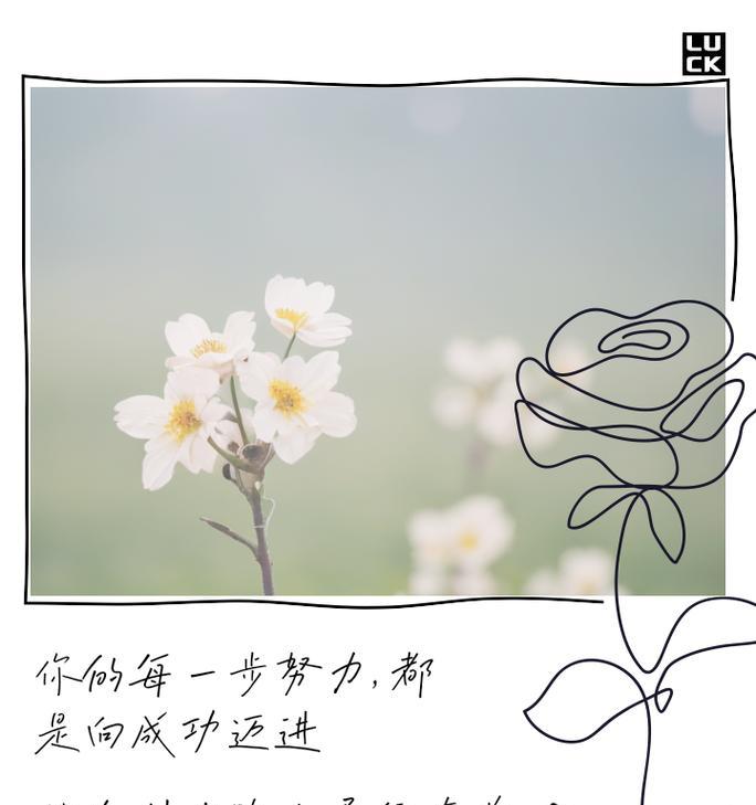不懈的追求（一位艺术家的奋斗之路）