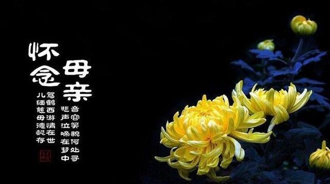 坚强的小草（无人问津的孤独旅程）