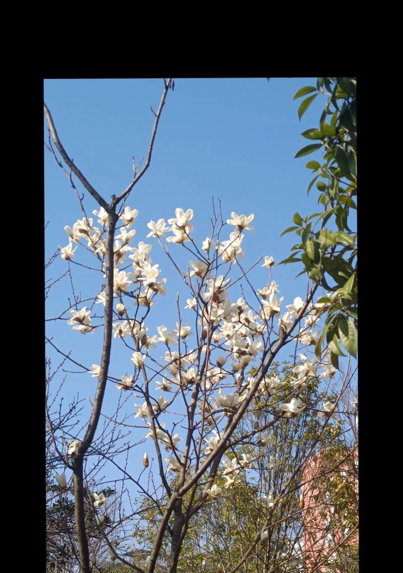友谊长存