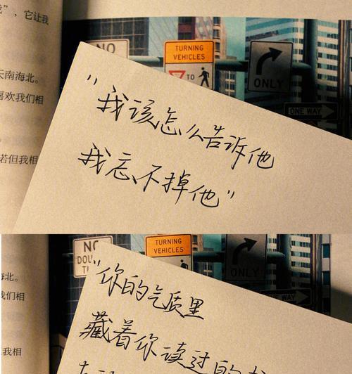 坚强不屈（不曾低头的故事）