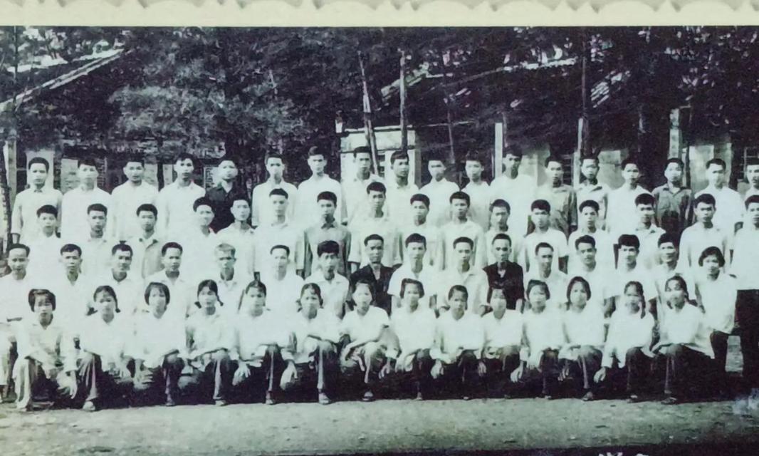 初中三年，我所经历的一切（回忆过去，更好地迎接未来）