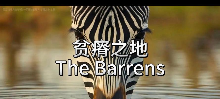 梦想之旅（一个女孩的追梦历程）