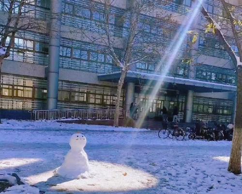 冬雪初降：一个家庭的温暖