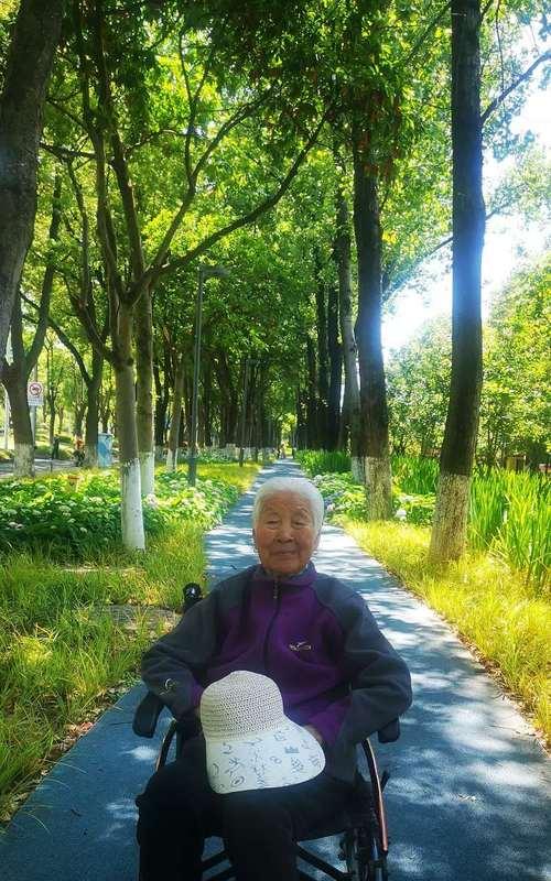 天涯海角，母爱相伴（母爱如海，永不停息）