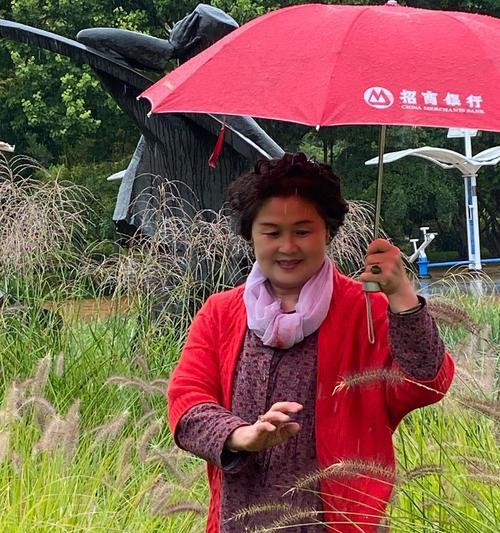 雨中情