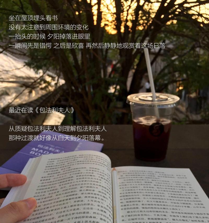 阅读之乐：享受文字带来的感动