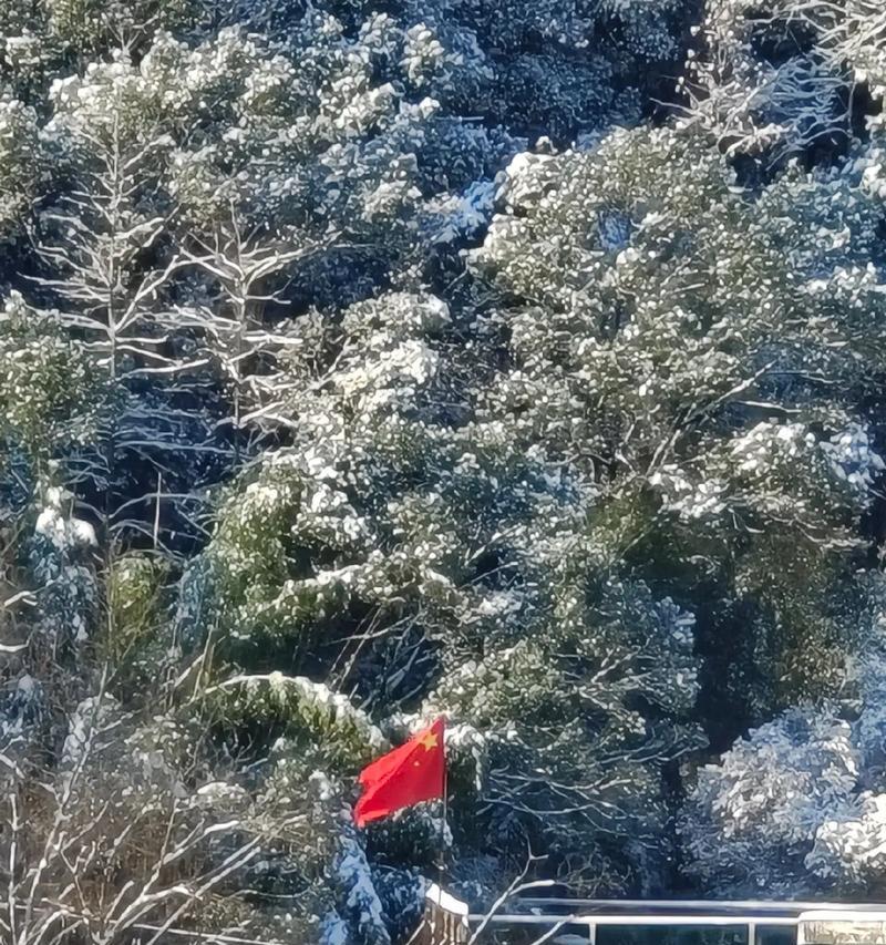 美丽的雪中景色