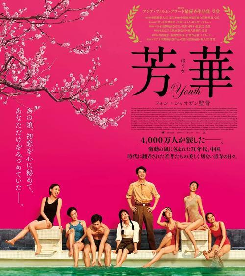 岁月如歌，芳华永驻（以芳华为镜，看逝去的岁月）