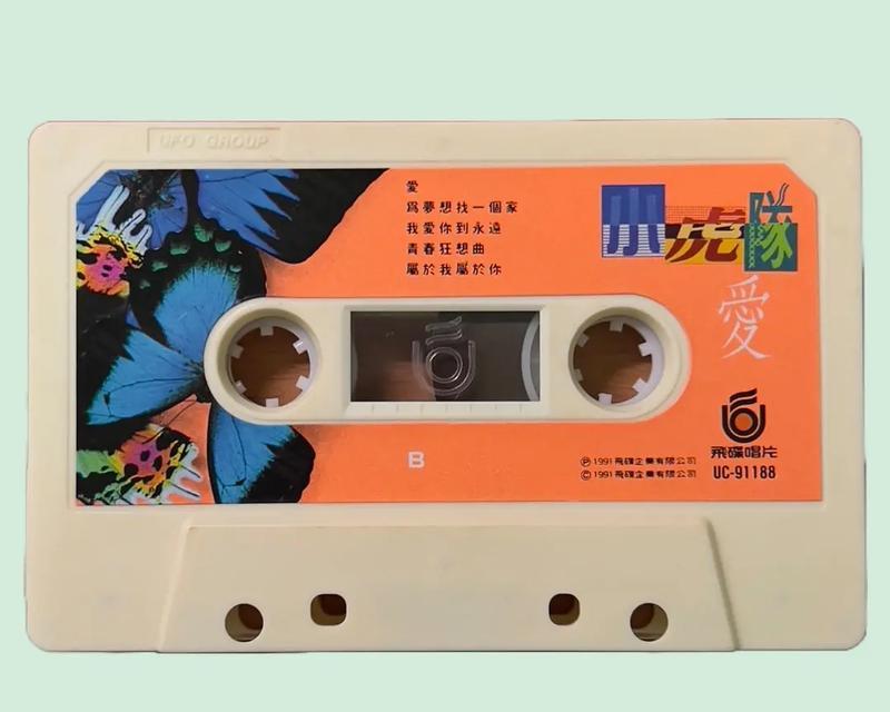 青春狂想曲（他们的青春故事）