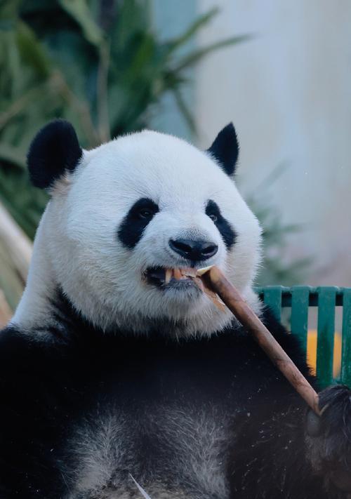 期待与等待：一个父亲的故事
