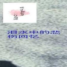永不磨灭的回忆（人性的弱点和坚强）
