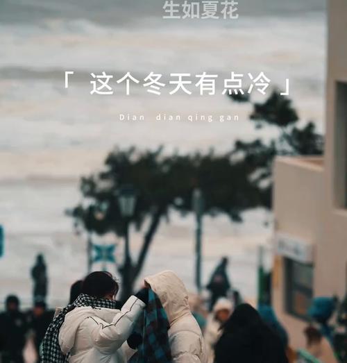 寻找冬季的美景（寻找冬季的美景）