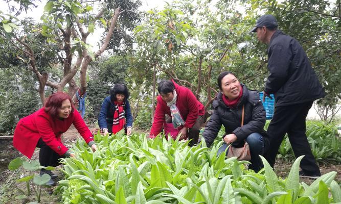 快乐足迹：找回幸福的旅程