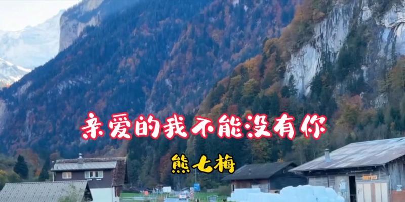 终身挚爱（以我不能没有你）