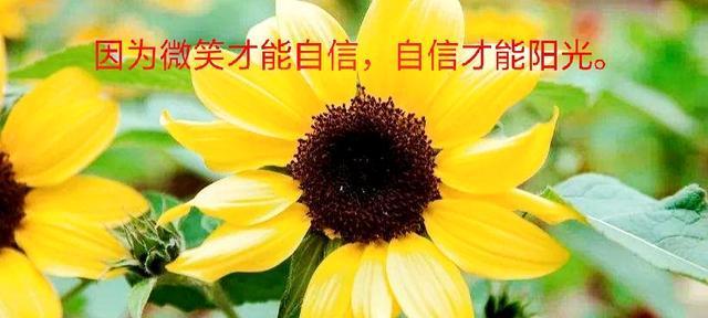 微笑的力量（他让我的心灵获得了一场盛宴）