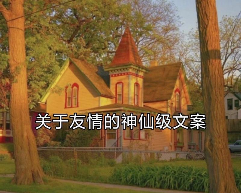 不离不弃的情谊，即使时光荏苒也不会褪色（不离不弃的情谊，即使时光荏苒也不会褪色）