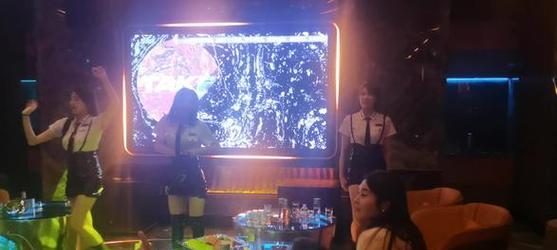 小鸟学会飞翔——别担心，我们都可以的（一只被捕鸟儿的奋斗史）