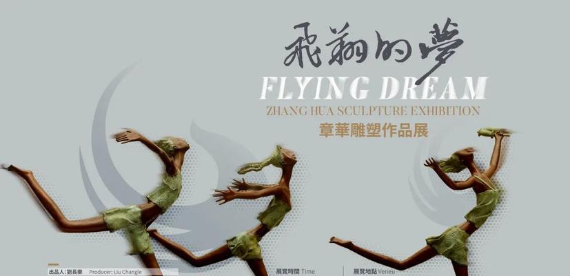 飞翔的梦（一个男孩的翅膀与梦想）