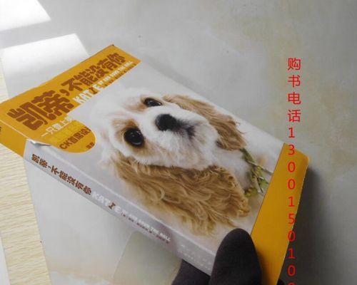 不能没有你（一个男孩与他的不能没有的人）