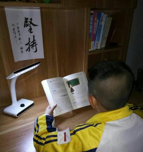 《少年的阅读启示》（读书是一种乐趣）